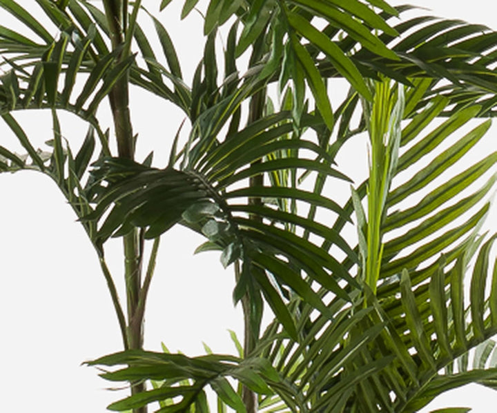 artplants.de Kunstpalme Areca Federico, 180cm - Kunst Dattelpalme