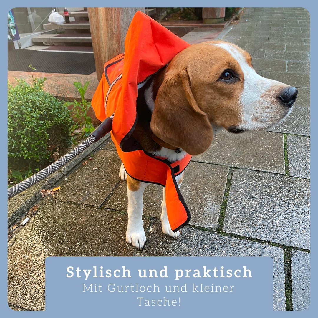 Bella & Balu Hunderegenmantel wasserdicht mit Kapuze und Reflektoren für sichere Gassigänge, Hundesp