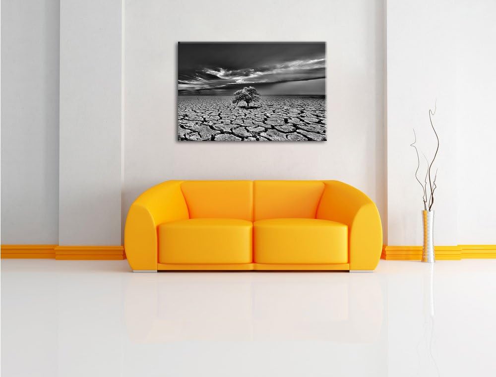 Pixxprint Monocrome, der Letzte Baum im ausgetrockneten Boden, Format: 100x70 auf Leinwand, XXL ries