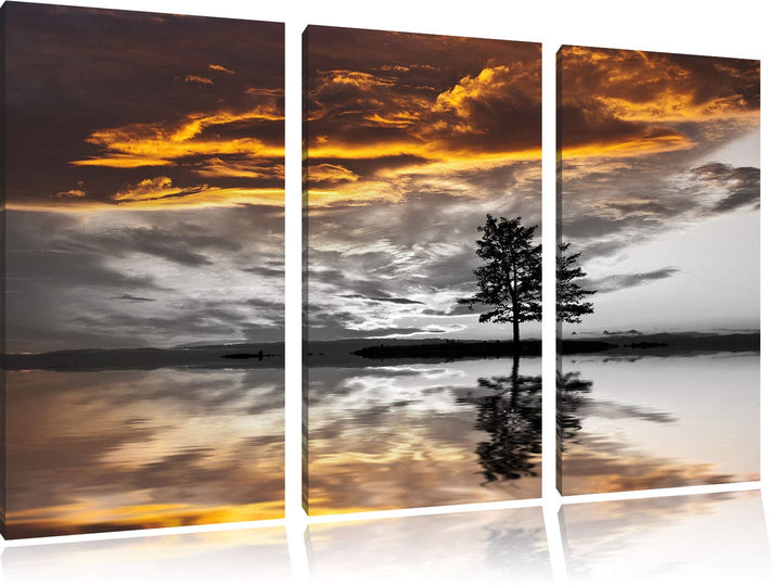 einsamer Baum auf Wiese schwarz/weiss 3-Teiler Leinwandbild 120x80 Bild auf Leinwand, XXL riesige Bi