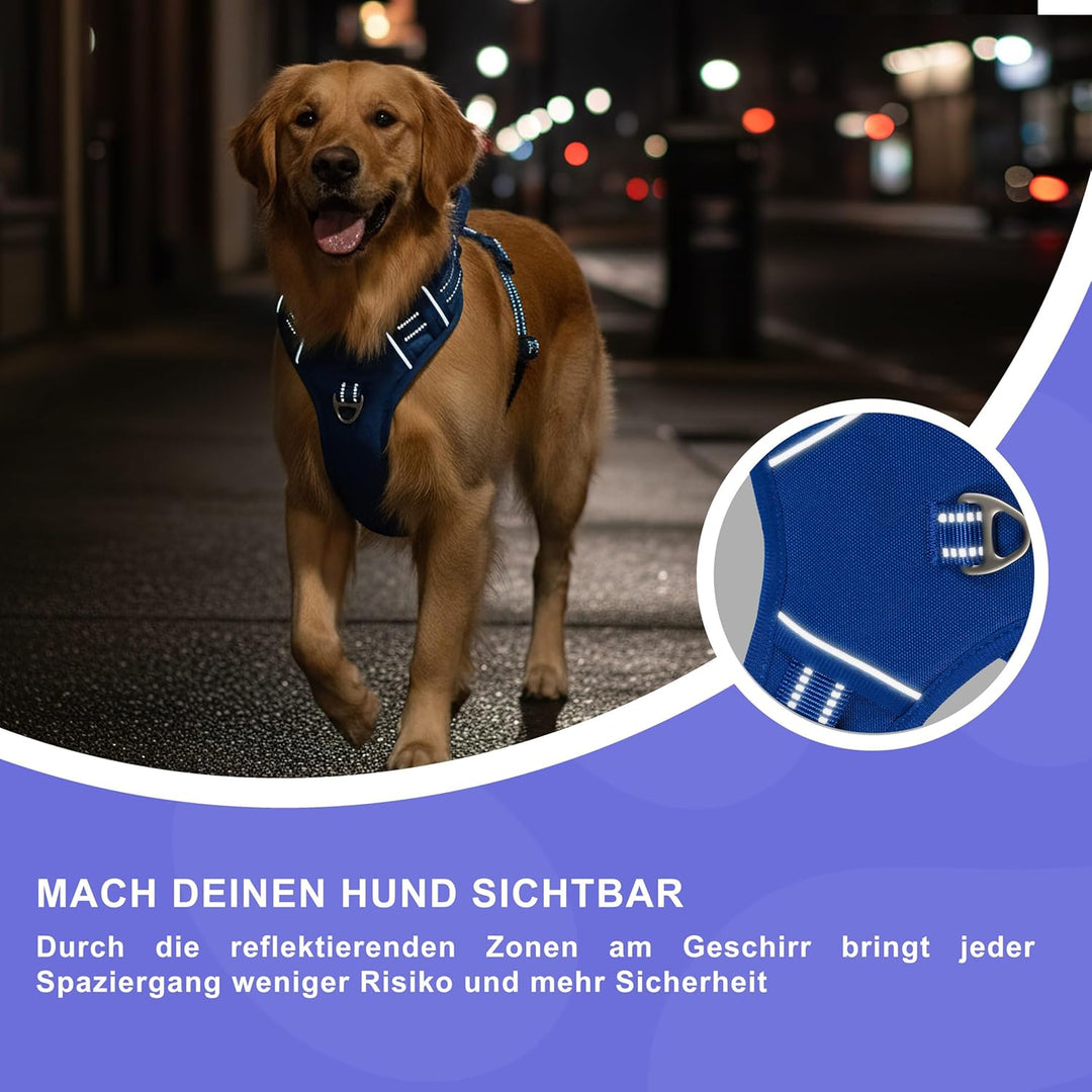 Reichstadt Pets Hundegeschirr Kleine Hunde 25RSP083 Blue S | Verstellbares No-Pull Geschirr mit Grif