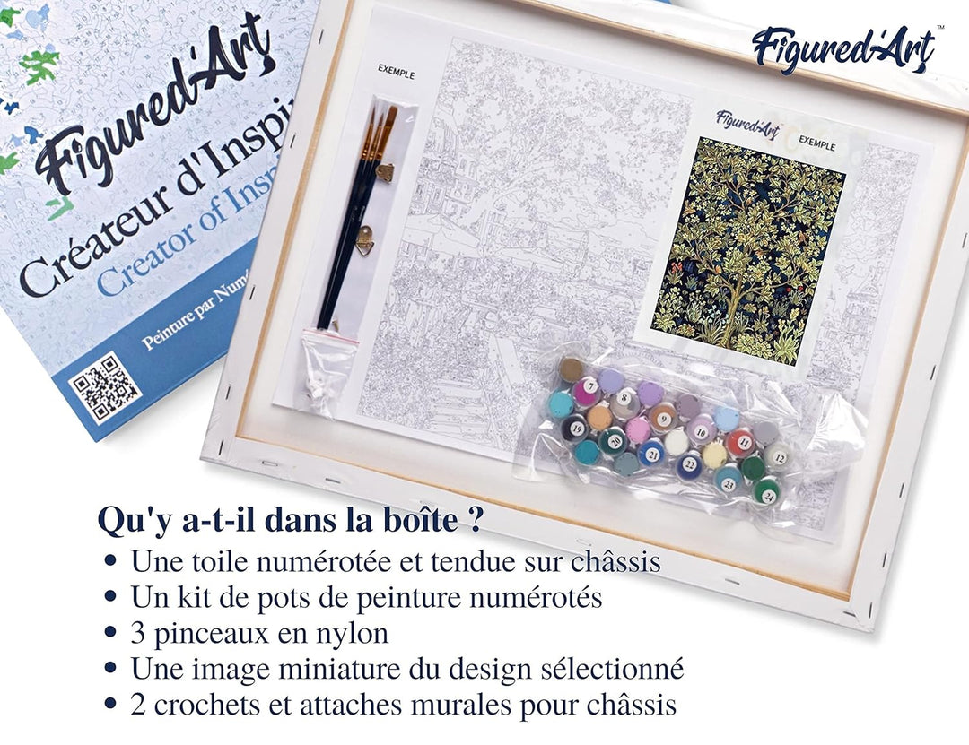 Figured'Art Malen Nach Zahlen Erwachsene Mit Rahmen Baum des Lebens - Paint by Numbers Basteln DIY B