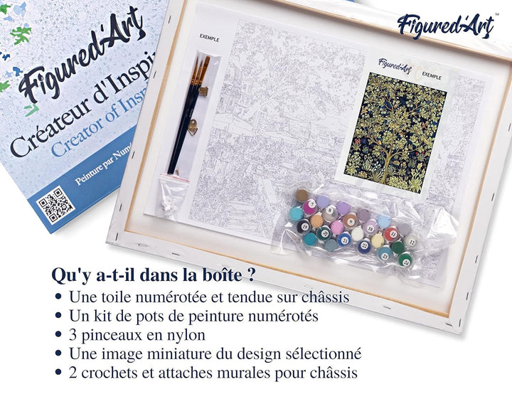 Figured'Art Malen Nach Zahlen Erwachsene Mit Rahmen Baum des Lebens - Paint by Numbers Basteln DIY B