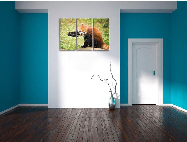 Pixxprint Niedlicher roter Panda Bunstift Effekt 3-Teiler Leinwandbild 120x80 Bild auf Leinwand