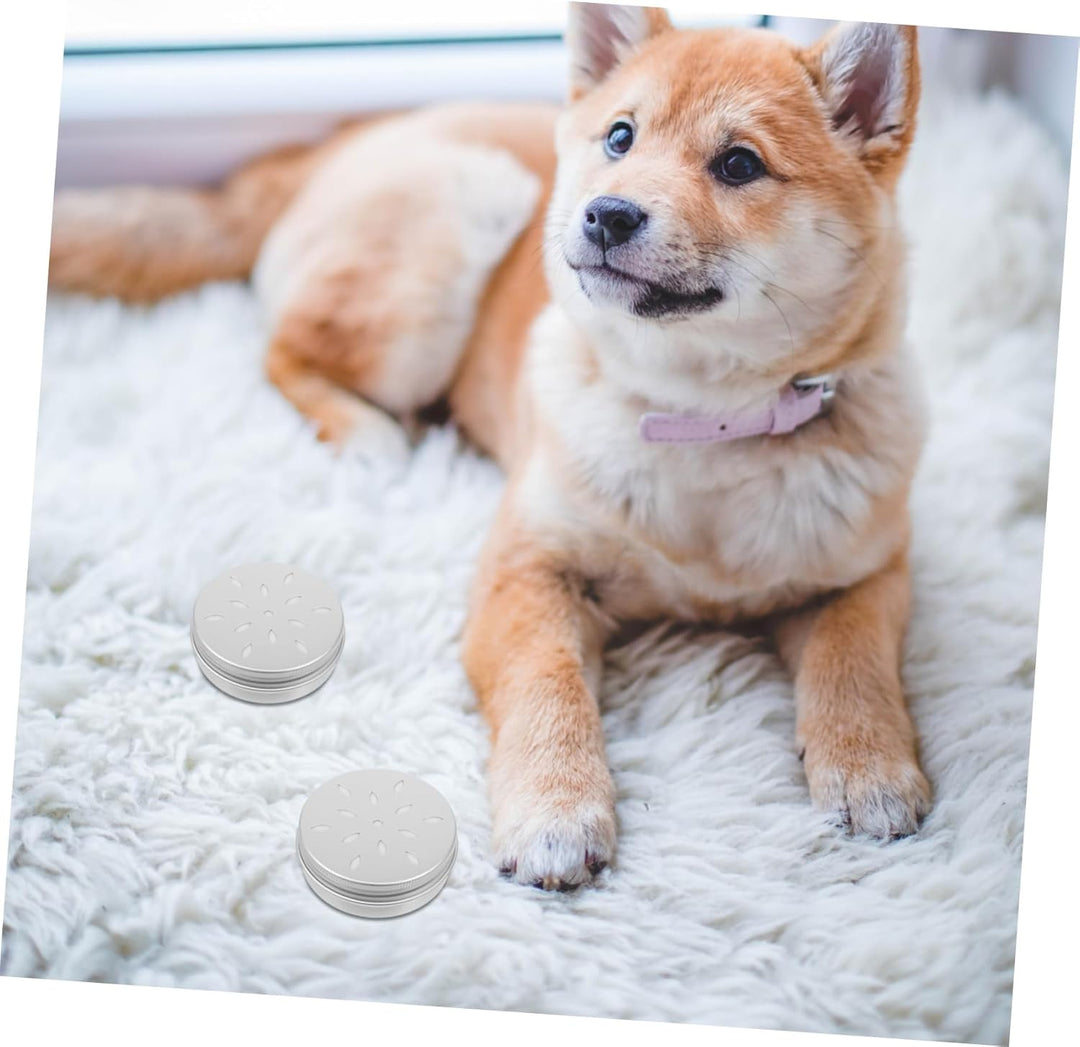 MAGICLULU Hundetraining Hunde Training Zubehör 10 Stück Hundedufttrainingsbox Geruchstrainingskanist
