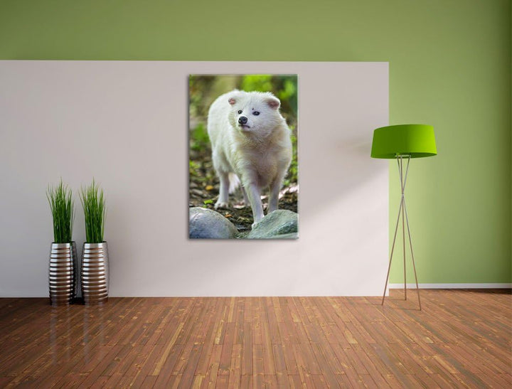 Pixxprint niedlicher Polarfuchs auf Leinwand, XXL riesige Bilder fertig gerahmt mit Keilrahmen, Kuns