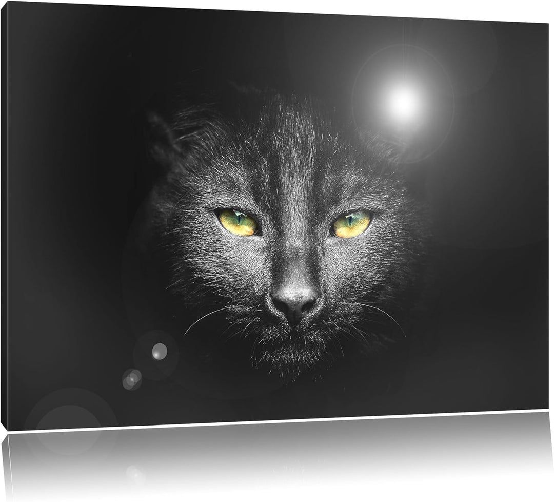 Katzenkopf mit düsterem Hintergrund schwarz/weiss Format: 100x70 auf Leinwand, XXL riesige Bilder fe