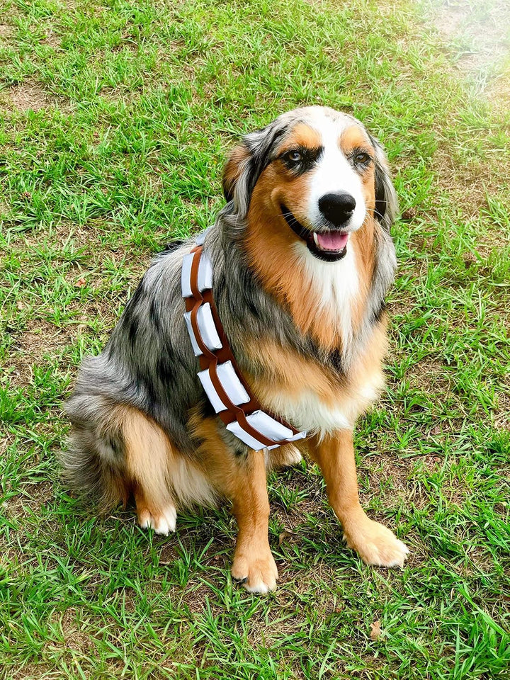 ComfyCamper Furry Star Warrior Utility Hundekostüm mit Gürtel, Grösse XL X-Large, X-Large