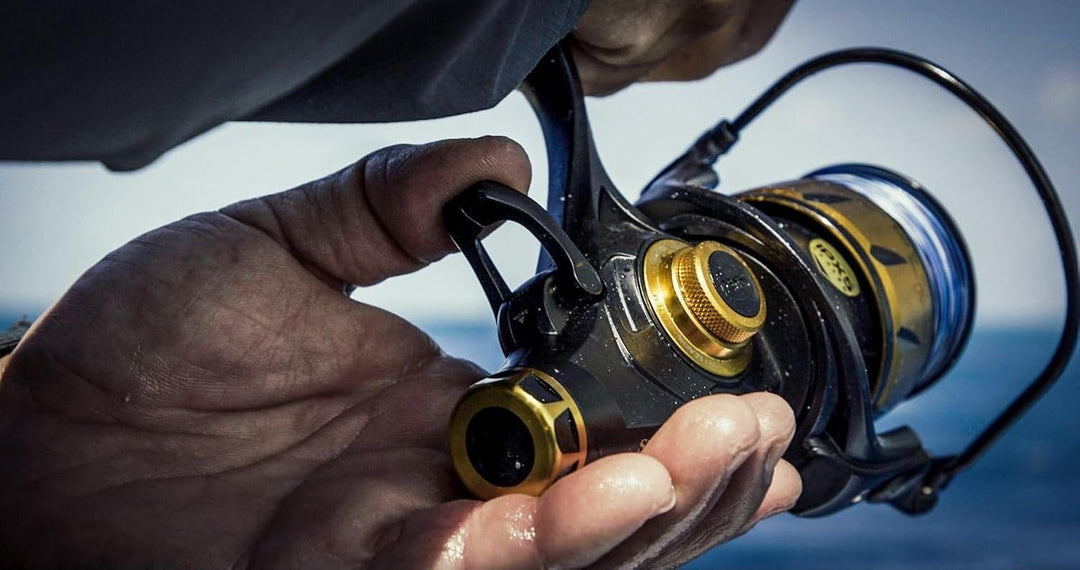PENN Spinfisher VI Spinnrolle 2500 Live Liner, 2500 Live Liner