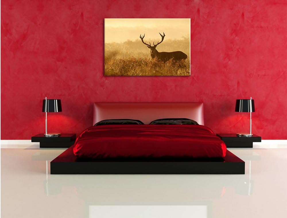 Pixxprint Rotwild Hirsch in Abenddämmerung als Leinwandbild/Grösse: 100x70 cm/Wandbild/Kunstdruck/fe