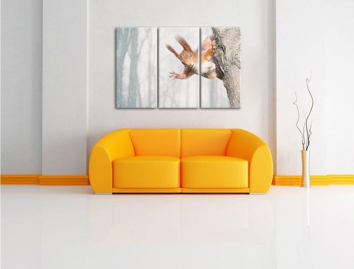 Pixxprint Neugierig rotes Eichhörnchen / 3-Teilig/Gesamtmass 120cm Leinwandbild bespannt auf Holzrah