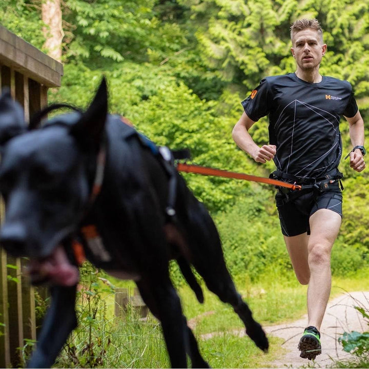 Non-Stop dogwear Bungee Leash LTD | Leine für bikejøring, Scootering und skijøring | 1644 | 2,8m | F