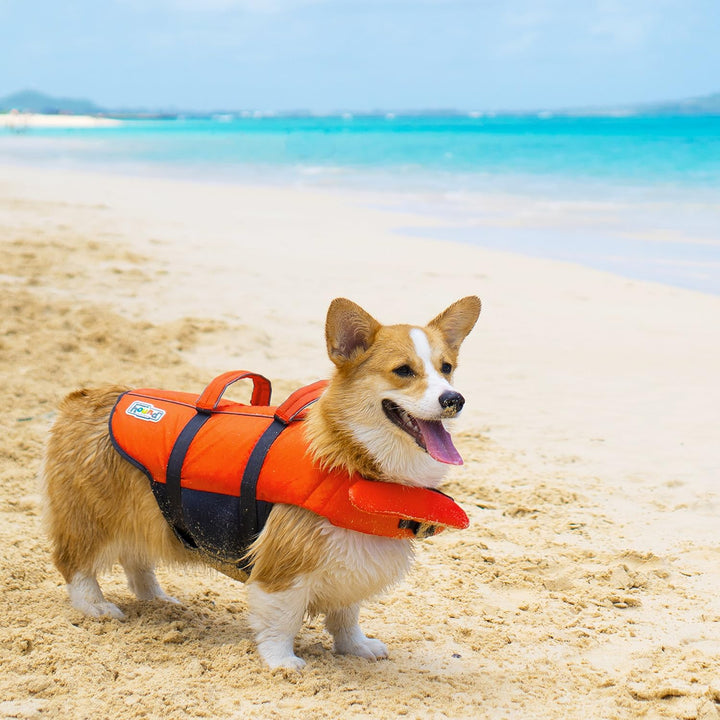 Kyjen 22019 Outward Hound Ripstop Quick Release Easy Fit Rettungsweste für Hunde, verstellbar, Gröss