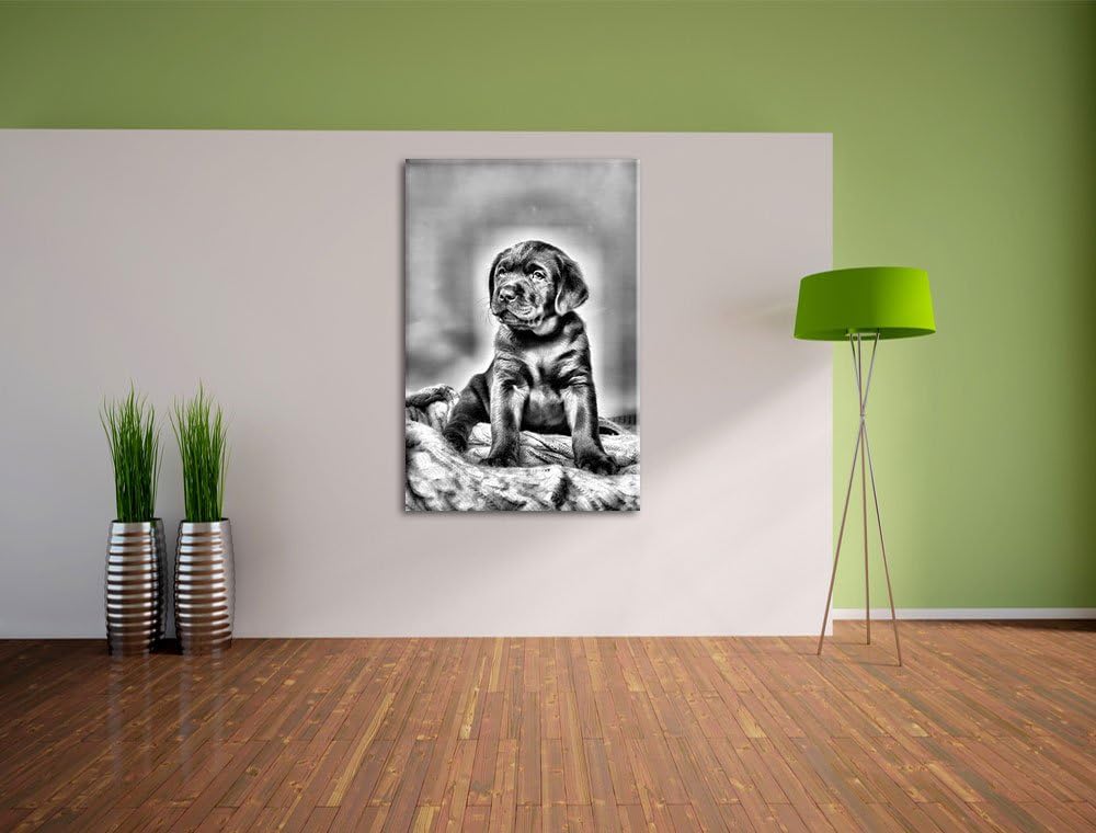 Pixxprint Hundewelpe auf Pullovern / 100x70cm Leinwandbild bespannt auf Holzrahmen/Wandbild Kunstdru