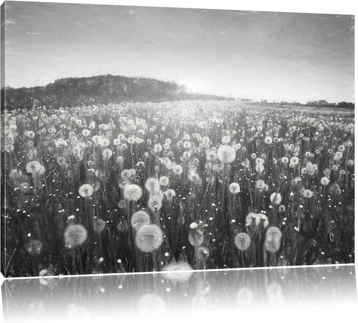 Pixxprint Pusteblumen Sonnenuntergang als Leinwandbild/Grösse: 100x70 cm/Wandbild/Kunstdruck/fertig