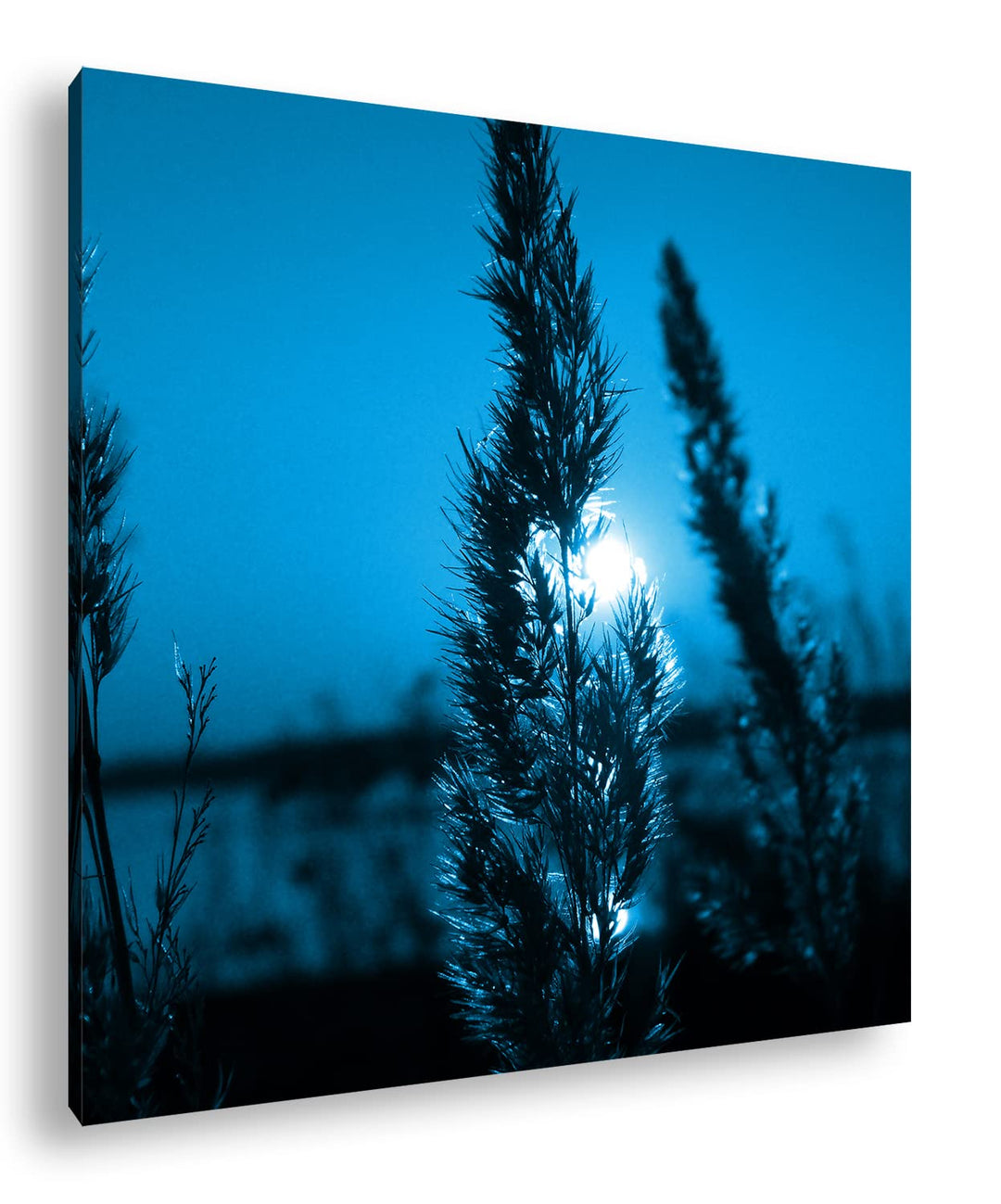 deyoli schöne Landschaft bei Sonnenuntergang Format: 60x60 Effekt: Monocrome Blau als Leinwandbild,