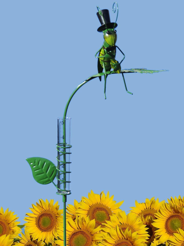 Pommerntraum ® | Regenmesser Niederschlagsmesser Pluviometer Gartendekoration Gartenstecker (lustige