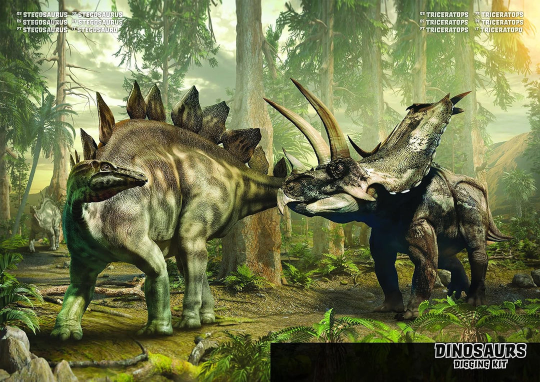 Grosses 2in1 Dinosaurier Ausgrabungsset mit Werkzeug Triceraptops und Stegosaurus in schwerem Sandbl