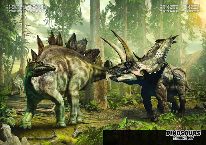 Grosses 2in1 Dinosaurier Ausgrabungsset mit Werkzeug Triceraptops und Stegosaurus in schwerem Sandbl