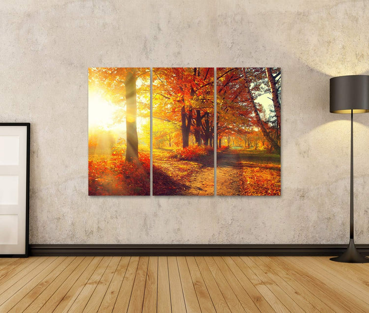 islandburner Bild auf Leinwand Herbst Herbstpark Herbstliche Bäume Und Blätter In Sonnenstrahlen Bil