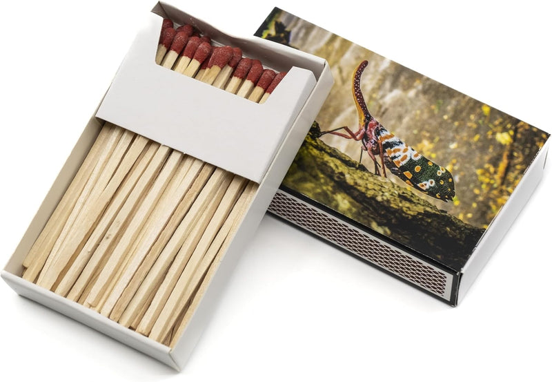 24x 55 Stück Kaminhölzer Extra Lang ca 10 cm + 1 Bildmagnet! Kaminstreichhölzer Kohleanzünder Grilla