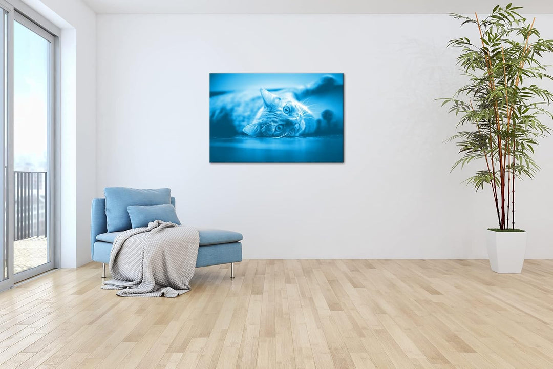 deyoli süsse verspielte Katze Format 120x80 Effekt: Monocrome Blau als Leinwandbild, Motiv fertig ge