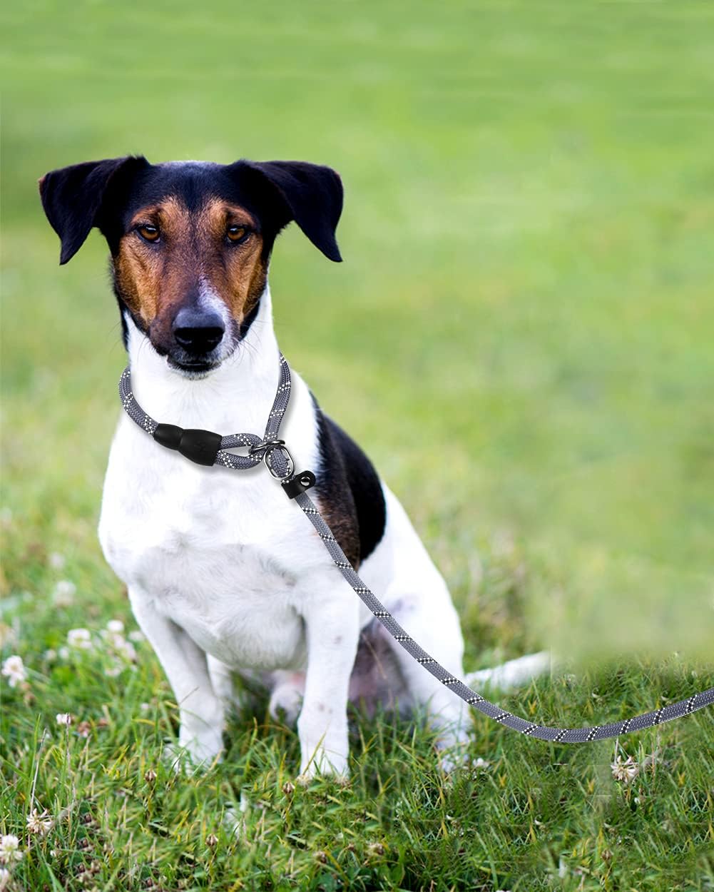 TagME Retrieverleine mit Zugstopp,Reflektierende Seilleine 185 cm Moxonleine,Weicher gepolsterter Gr