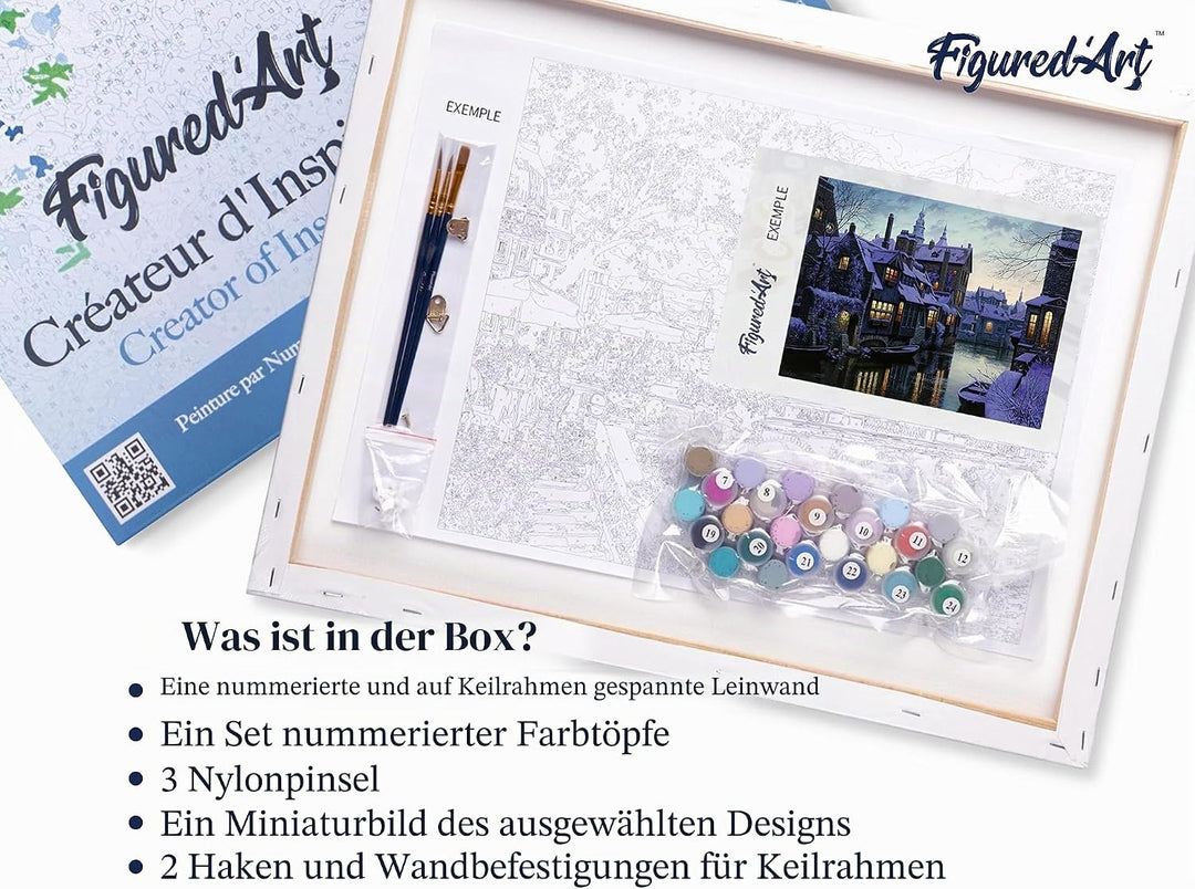 Figured'Art Malen Nach Zahlen Erwachsene Mit Rahmen Kanal im Winter - Paint by Numbers Basteln DIY B