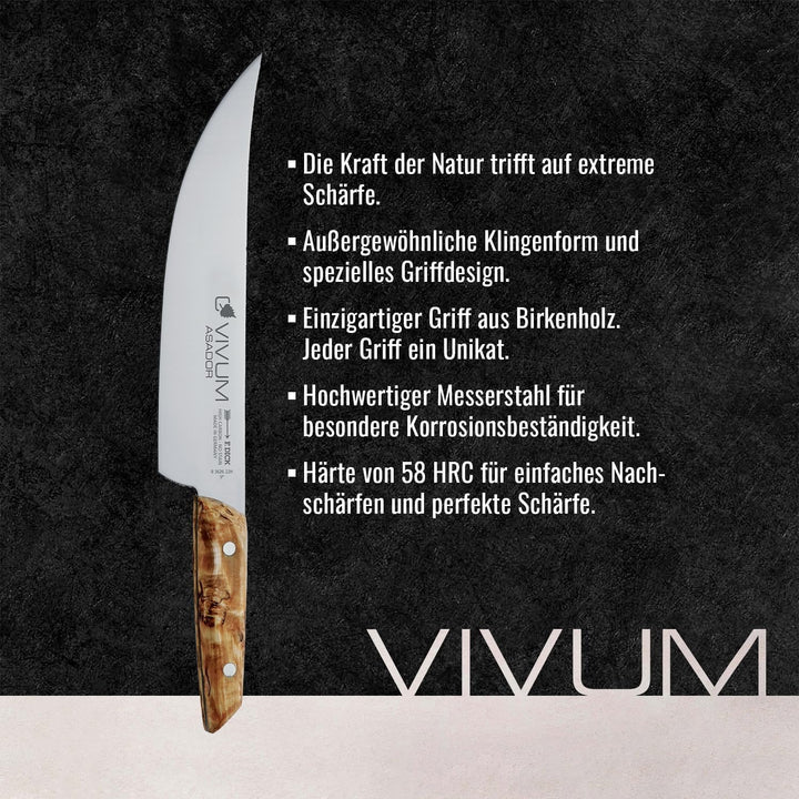 F. DICK BBQ Messer ASADOR VIVUM 22 cm - rostfrei, Klinge extra scharf, 58 HRC, Zerlegemesser Birkenh