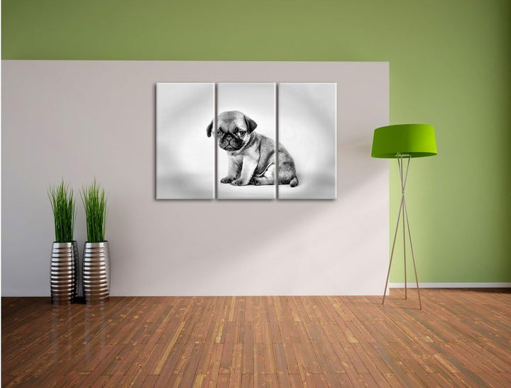 Pixxprint Kleiner Hundewelpe Mops als Leinwandbild/Grösse: 3 Teilig (120x80 cm) cm/Wandbild/Kunstdru