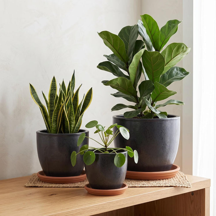 Teramico Blumentopf mit Untersetzer Keramik Pflanztopf Set (Anthrazit/TC) Anthrazit / Tc, Anthrazit