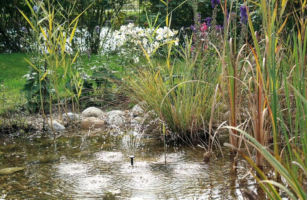 Pontec 40277 PondoSolar 150 - Solarstromsystem mit Wasserspielpume / Solarwasserspiel für attraktive