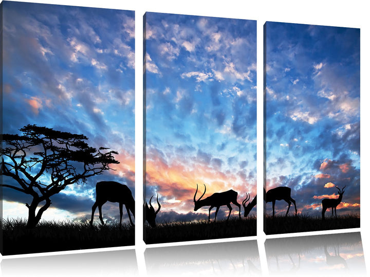 Pixxprint Tiere in der freien Natur am Abend 3-Teiler Leinwandbild 120x80 Bild auf Leinwand