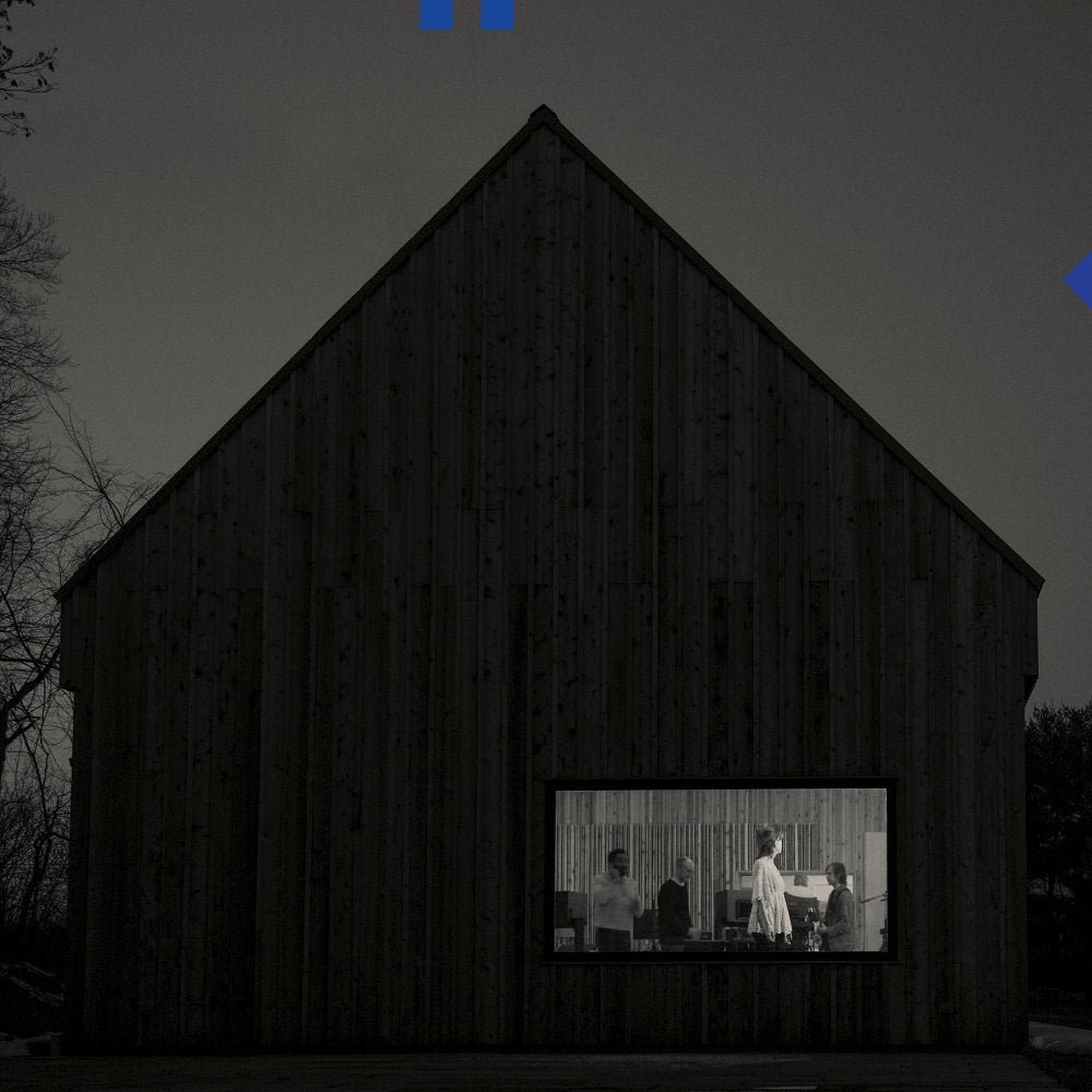 Sleep Well Beast, Vinyl