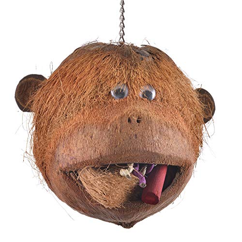 Java | Coco Monkey - Kokosnuss Affenkopf zum Knabbern für Grosssittiche und Papageien