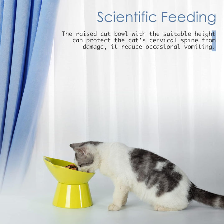 Futternapf Katze,Katzennapf Erhöht mit 15° Neigung Fressnapf Katze,Anti-Erbrechen Katzennäpfe für Fu