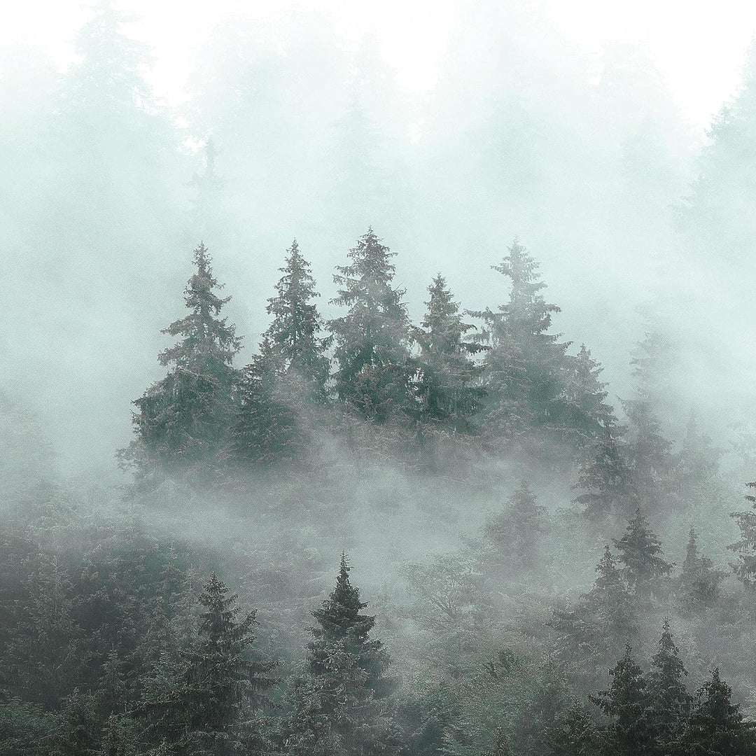 Runa Art Wandbilder Wald Natur 5 Teilig Bild auf Vlies Leinwand Deko Wohnzimmer Schlafzimmer Panoram