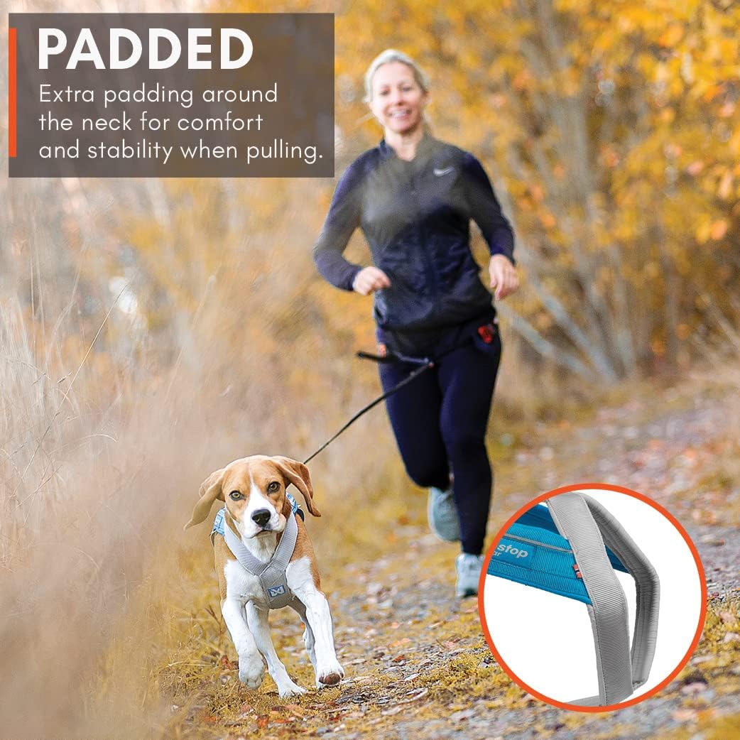 Freemotion Harness 5.0 Parent Listing (Orange/Black, 7) Orange / Black 7, Orange / Black 7