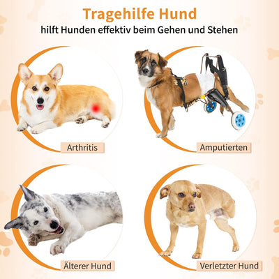 Hundegeschirr Hunde Tragehilfe Einstellbar Gehhilfe Hund Treppe Hund Hinten Lift Support Geschirr Kl