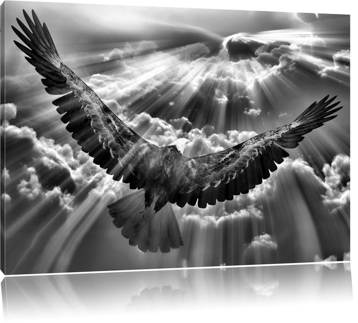 Pixxprint Monocrome, Adler über den Wolken, Format: 100x70 auf Leinwand, 100x70