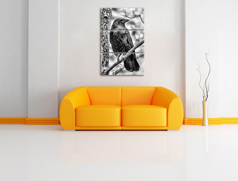 Pixxprint schwarzer Rabe auf AST als Leinwandbild/Grösse: 3 Teilig (120x80) / Wandbild/Kunstdruck/fe