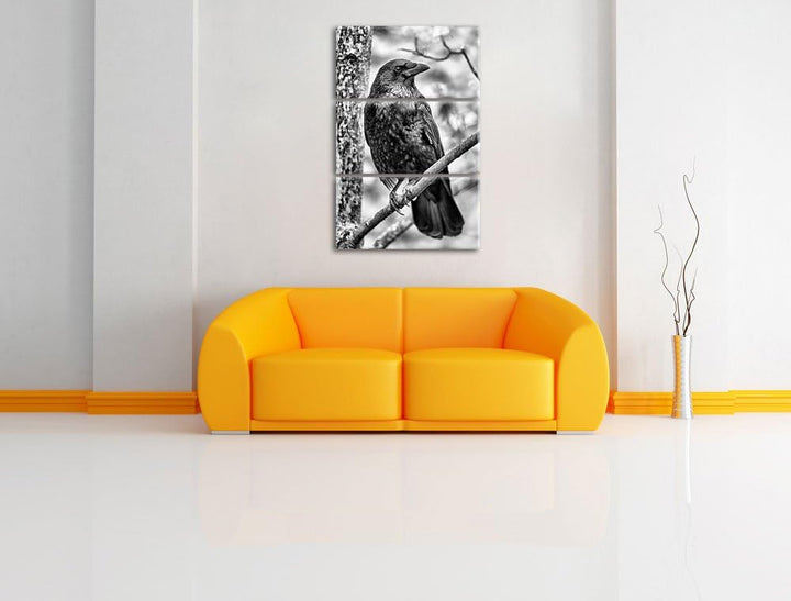 Pixxprint schwarzer Rabe auf AST als Leinwandbild/Grösse: 3 Teilig (120x80) / Wandbild/Kunstdruck/fe