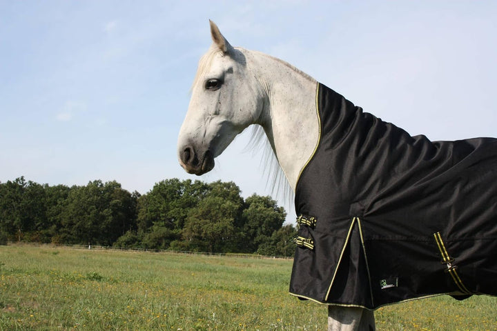 time4horses High Neck Thermodecke Pferdedecke Winterdecke Outdoordecke 100gr. 1200Denir 135 cm, 135
