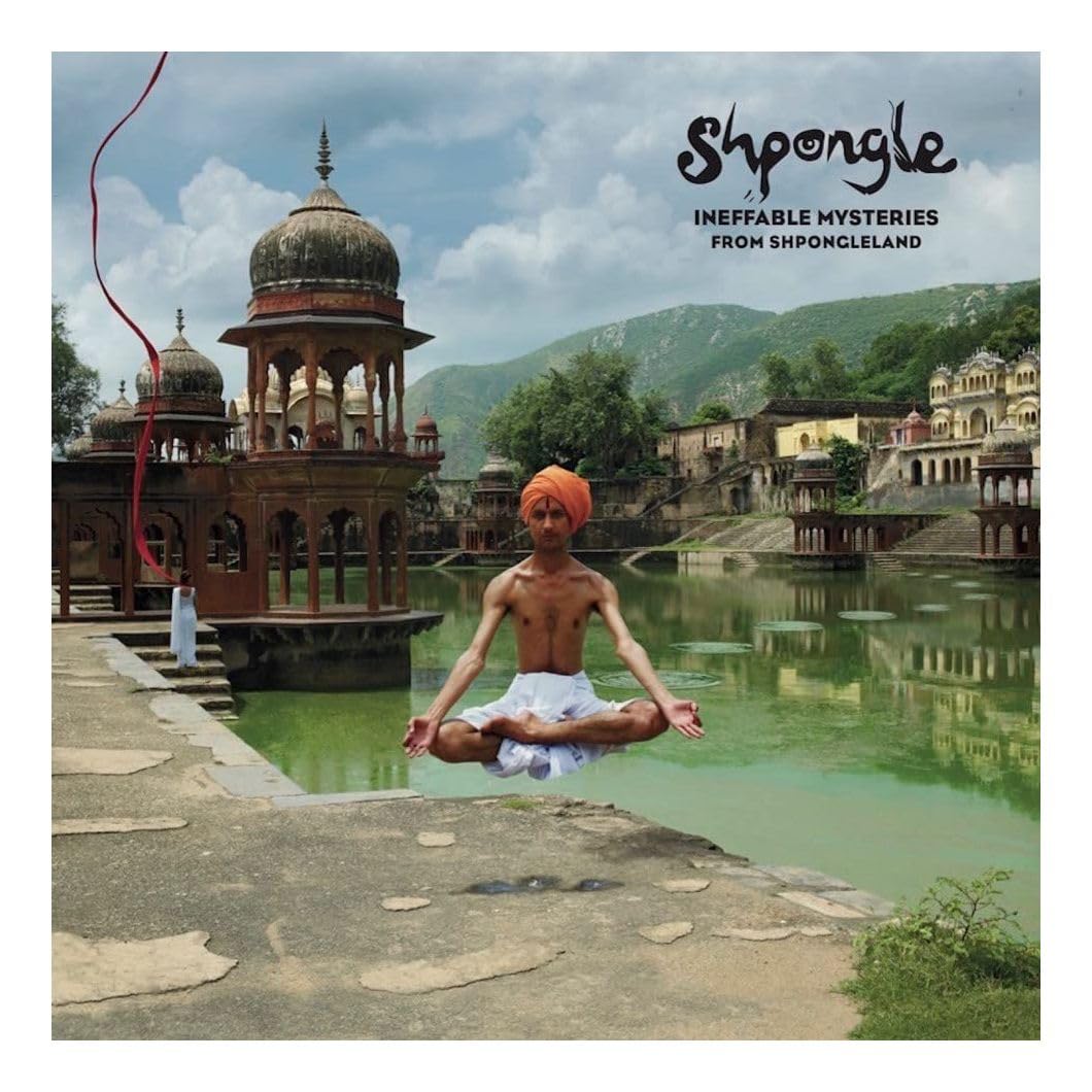 Ineffable Mysteries from Shpongleland, Vinyl