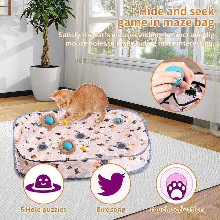 Interaktive Haustierspielkugeln Set mit Matten-Mäusefangspiel für Katzen und Hunde 2 Spielkugeln Hin