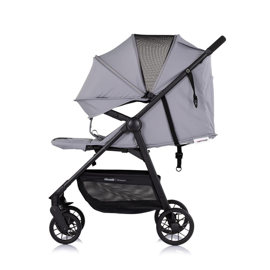 Chipolino Kinderwagen Blossom Stossdämpfer verstellbare Rückenlehne Korb bis 22kg grau, grau