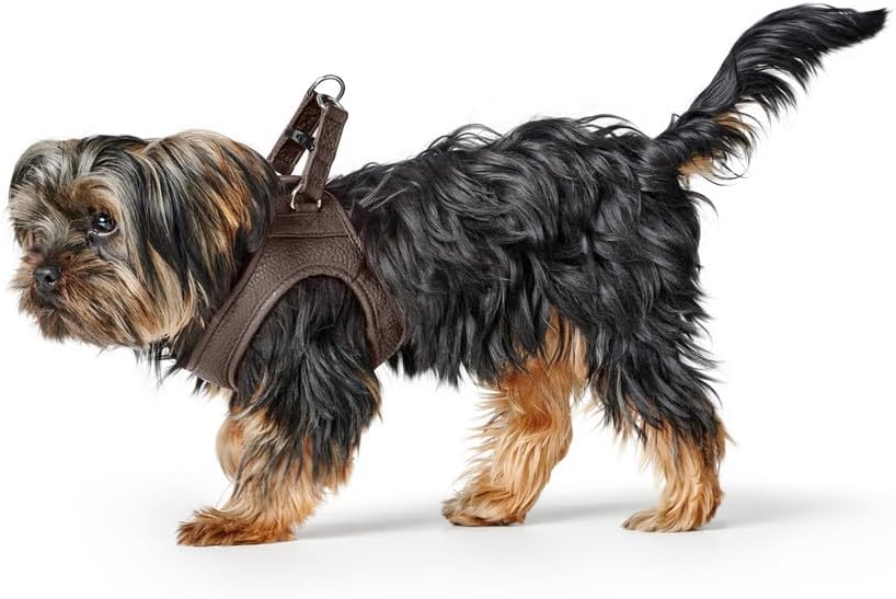 Hunter Hundegeschirr Love, Farbe: braun, weiches Rindsleder, atmungsaktive Mesh-Polsterung, Herz han