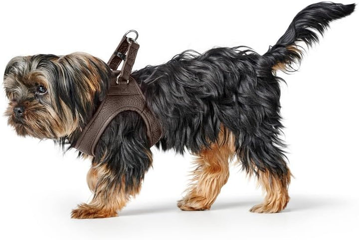 Hunter Hundegeschirr Love, Farbe: braun, weiches Rindsleder, atmungsaktive Mesh-Polsterung, Herz han