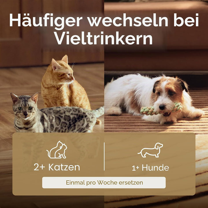 PETLIBRO Katzenbrunnen Filter für Trinkbrunnen