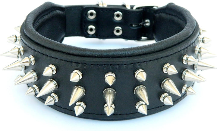 Bestia "Danger Echtleder Hundehalsband mit Schraubspitzen und Leder Innenpolsterung. 6,5 cm breit M